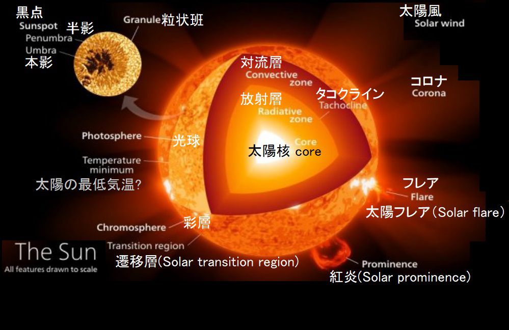 太陽の概観 太陽は何でできているか